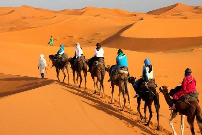 Camel ride in Tanger - What this Tangier camel tour really offers
