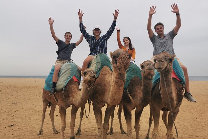 Camel ride in Tanger - The 30-minute camel ride