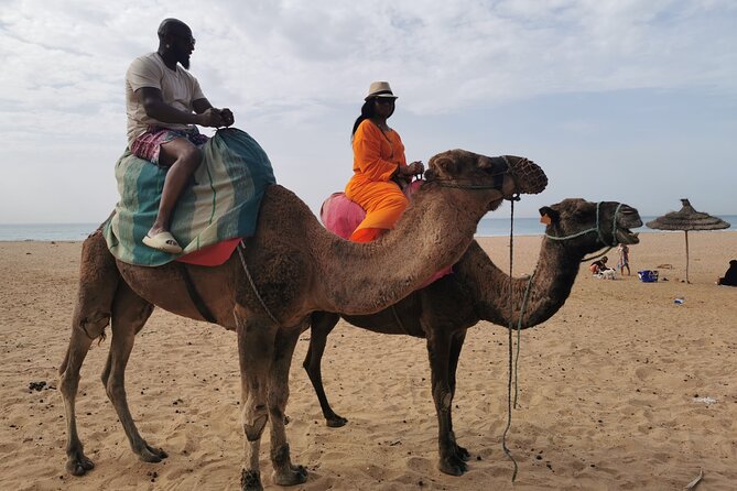 Camel ride in Tanger - The guides and the feel of the day