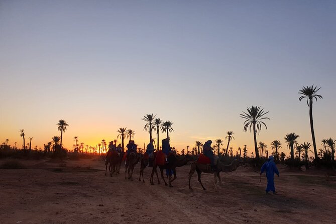Camel ride Marrakech - A simple camel ride with a strong sunset payoff