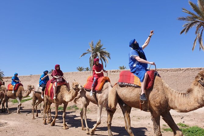 Camel ride Marrakech - The meeting point needs clarification
