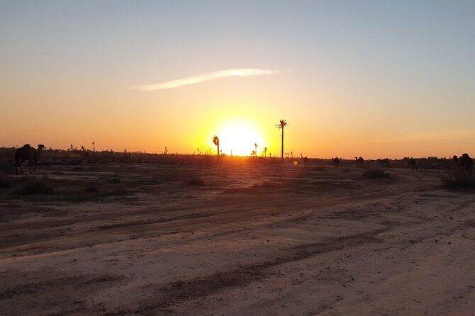 Camel ride Marrakech - What the one-hour ride feels like