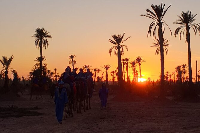 Camel ride Marrakech - Pickup makes the evening easier