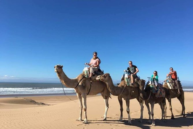 Camel Ride on the Beach of Essaouria - From Essaouira’s streets to the open beach