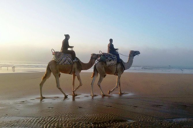 Camel Ride on the Beach of Essaouria - Crossing the high dunes toward the coast
