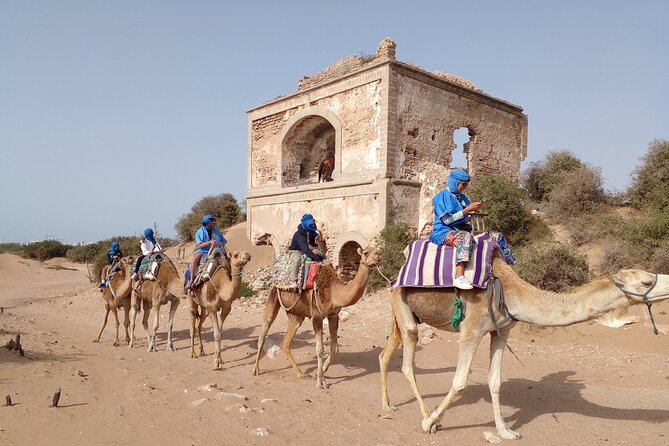 Camel ride or quad bike ride.. pick up, drop off. including - Why the beach setting makes this ride special
