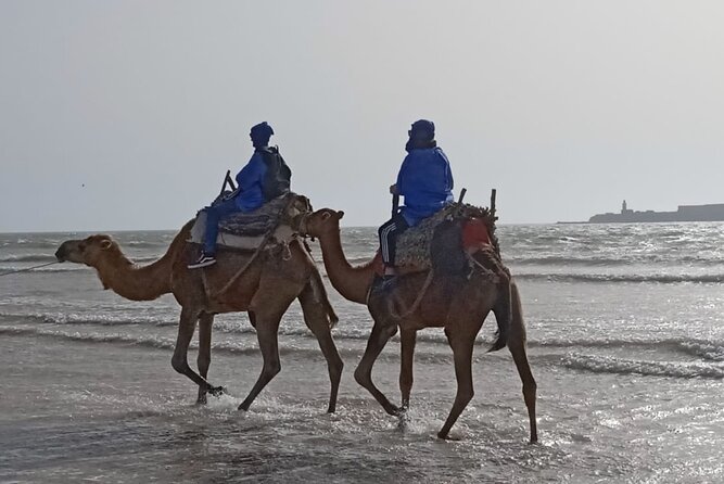 Camel ride or quad bike ride.. pick up, drop off. including - Sunset departures and the best time for photographs