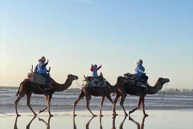 Camel ride or quad bike ride.. pick up, drop off. including - Oued Ksob, birds, and the quieter side of the coast