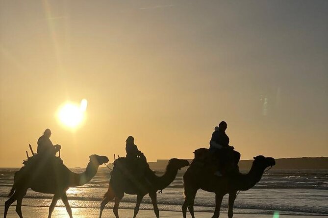 Camel ride or quad bike ride.. pick up, drop off. including - Pickup, meeting point, and total time