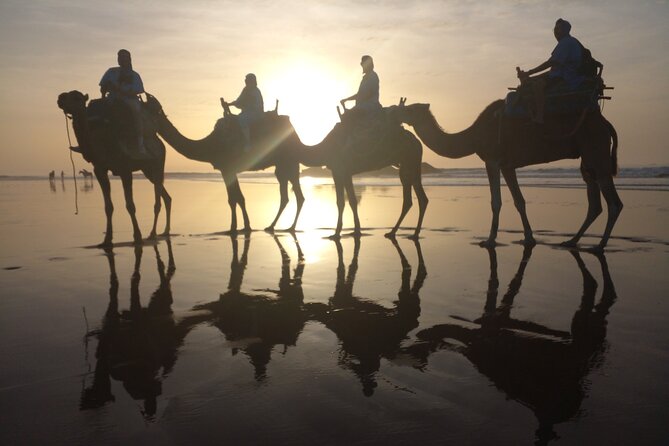 Camel ride or quad bike ride.. pick up, drop off. including - The Portuguese fort and Essaouira’s past