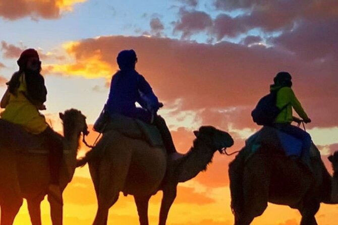 Camel ride + sunset + BBQ dinner in Agadir - The Souss River and a chance to spot flamingos