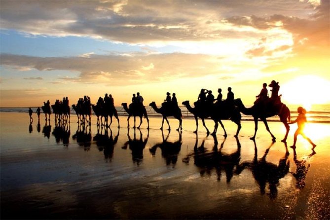 Camel Riding Agadir - Key things to know before you book