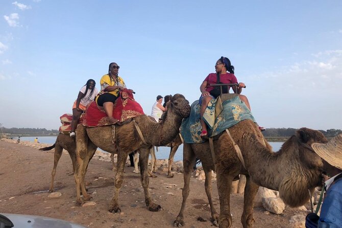 Camel Riding Agadir - Reaching the beach and sandy dunes