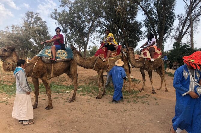 Camel Riding Agadir - Choosing between two hours, half a day, and a full day