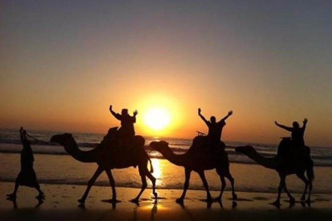 Camel Riding Agadir - Following the Souss Massa River