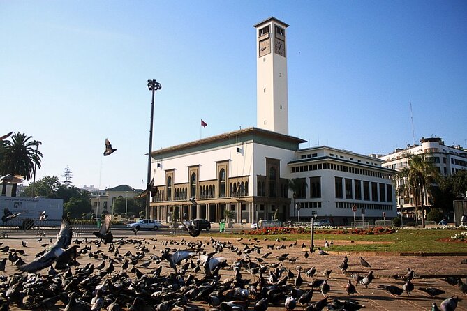 Casablanca Airport Layover Tour with Return to Airport or Hotel Dropoff - Mohammed V Square and the city center