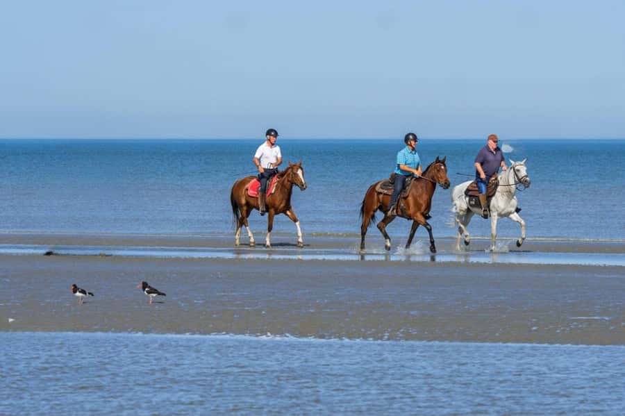 Casablanca: Beach Horseback Riding with Hotel Transfers - Key points to know before booking
