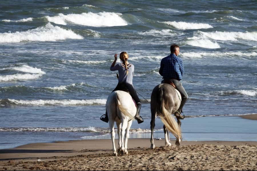 Casablanca: Beach Horseback Riding with Hotel Transfers - A beach ride beyond Casablanca’s city center