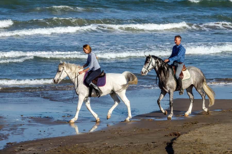 Casablanca: Beach Horseback Riding with Hotel Transfers - Choosing the beach or forest route
