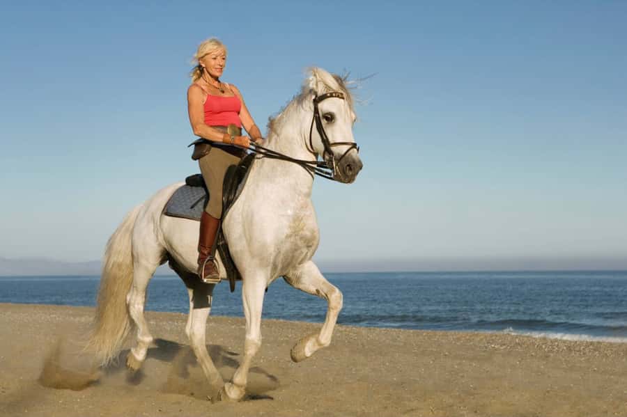 Casablanca: Beach Horseback Riding with Hotel Transfers - What the horses and guides are like