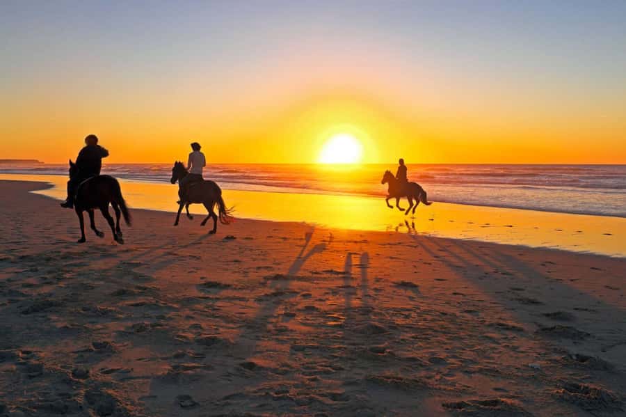 Casablanca: Beach Horseback Riding with Hotel Transfers - The farm, animals, and time around the horses