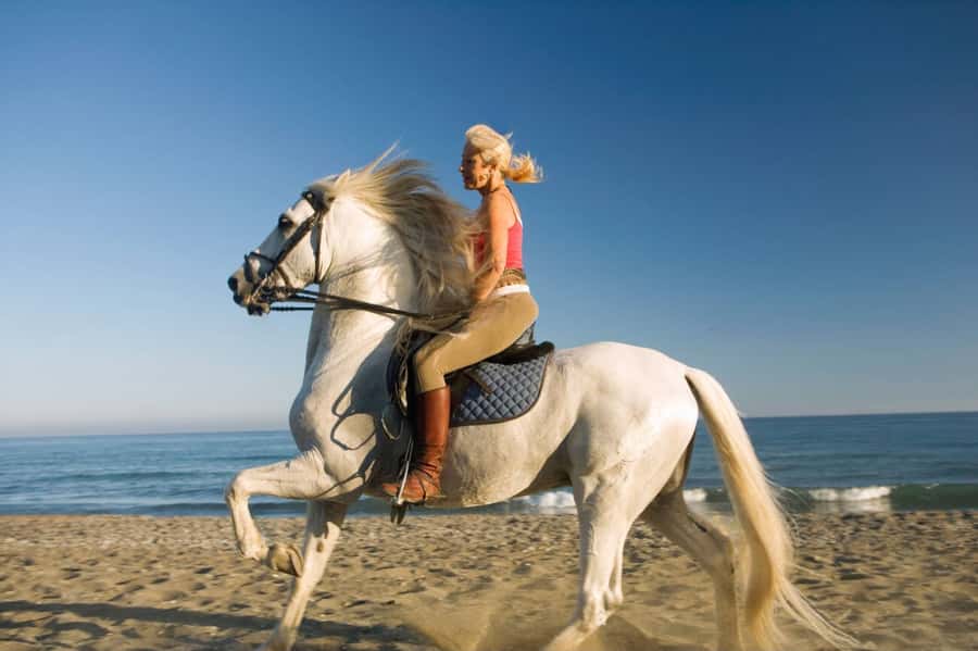 Casablanca: Beach Horseback Riding with Hotel Transfers - Price and what the $46 includes