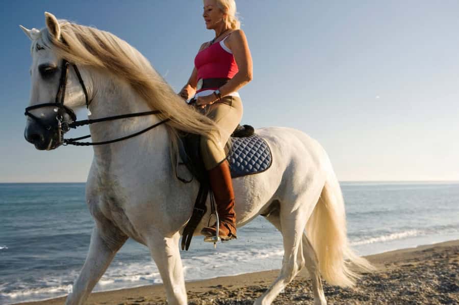 Casablanca: Beach Horseback Riding with Hotel Transfers - Who should book this horseback ride?