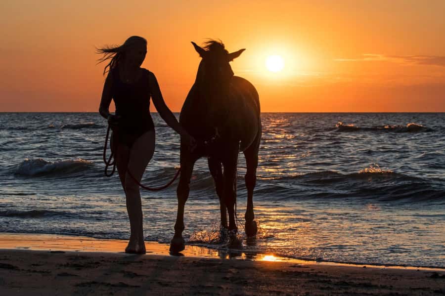 Casablanca: Beach Horseback Riding with Hotel Transfers - Hotel pickup with useful extras