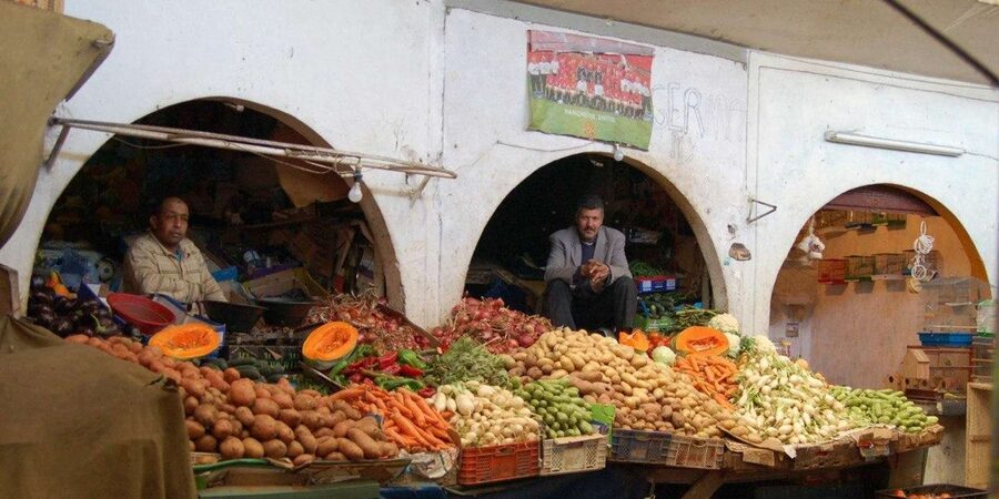 Casablanca: City Tour with Round-Trip Cruise Port Transfers - Guides, transport, and what is included