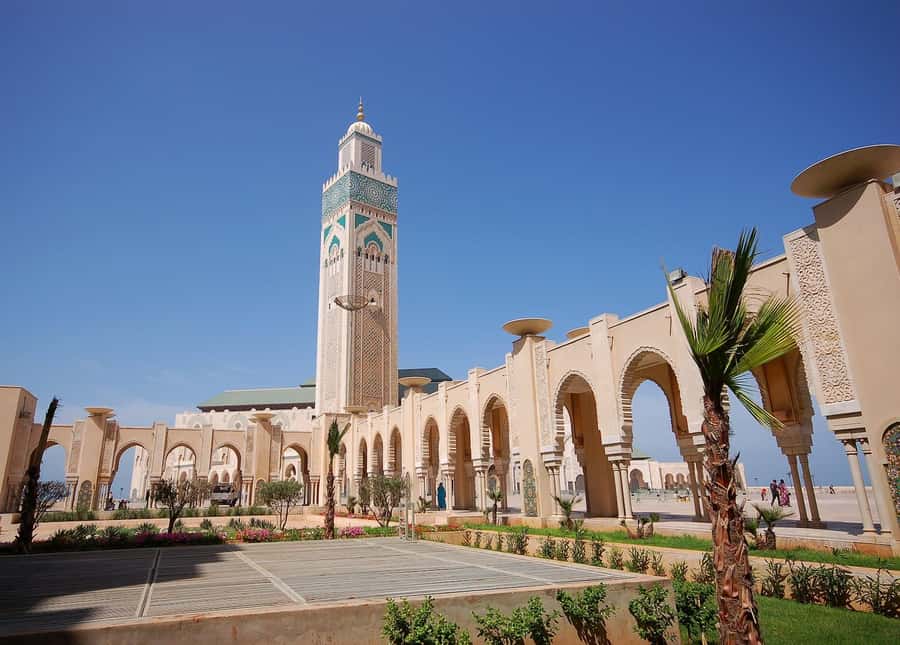 Casablanca Day Tour from Marrakech and Big Mosque Visit - Key points to know before you book