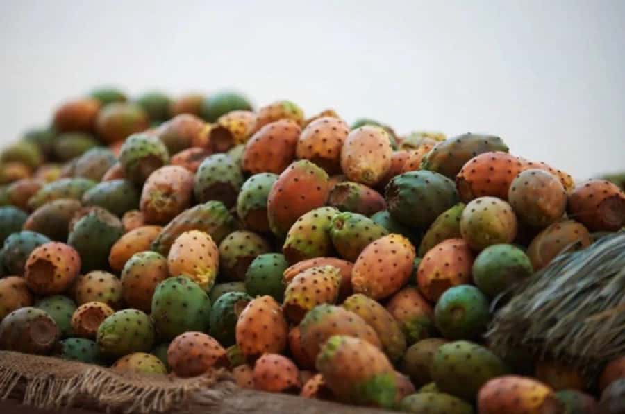 Casablanca: Food Tour with Tastings in Quartier Habous - Why this Casablanca food tour is more than a meal