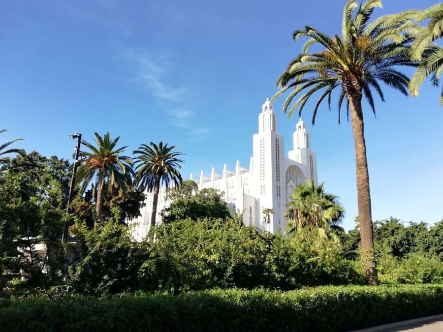 Casablanca Full-Day City Tour with round-trip hotel transfer - Why this Casablanca tour works for a short stay