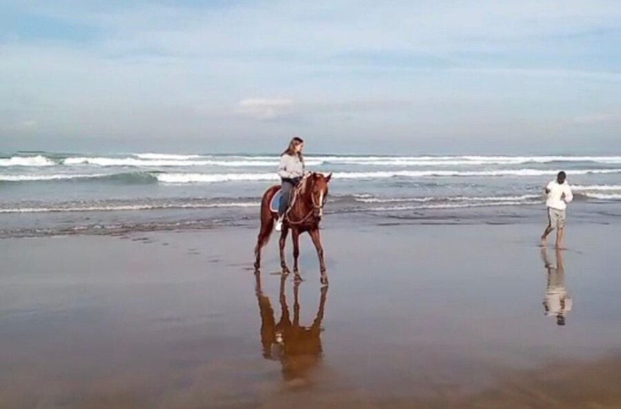 Casablanca: Private or Group Tour - Two churches add a different side of Casablanca
