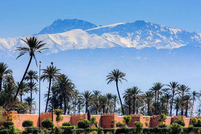 Casablanca to Marrakech Day Trip with Camel Ride - Saadian Tombs and Bahia Palace