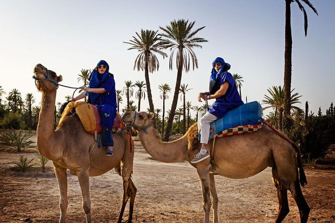 Casablanca to Marrakech Day Trip with Camel Ride - What the $139.43 price really buys