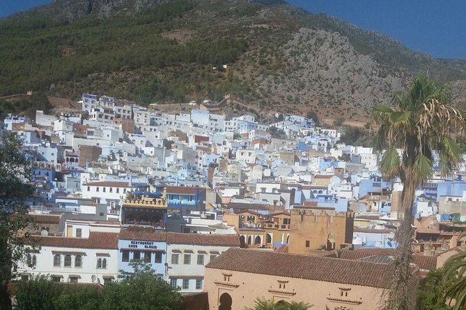 Chefchaouen Bleu City Day Trip from Casablanca. - Is $263.65 good value?