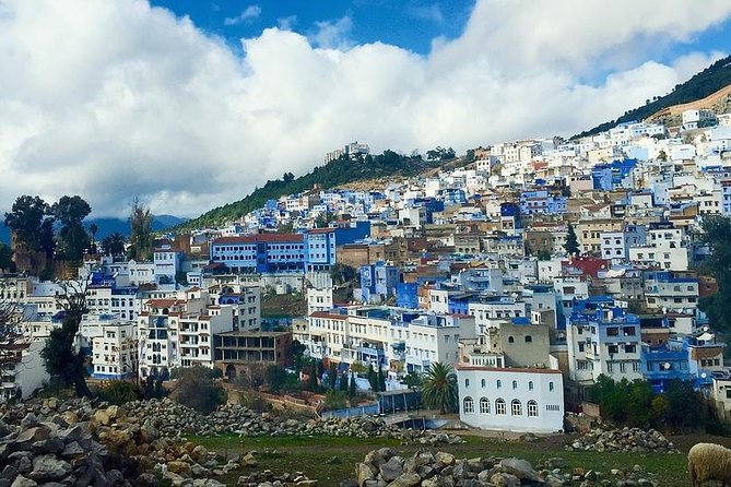 Chefchaouen Day Trip from Fes - Key points to know before you book