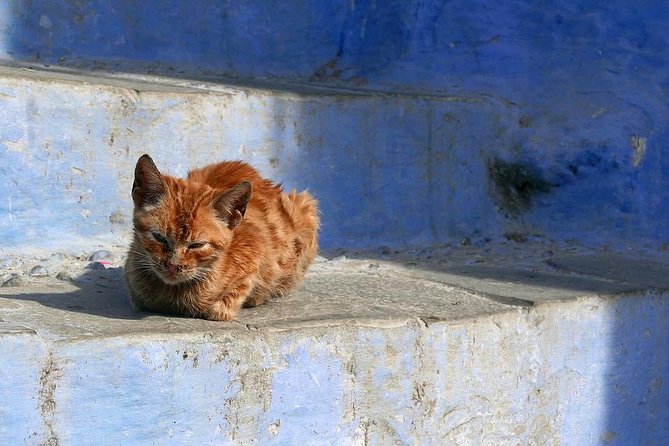 Chefchaouen Day Trip from Fes - The real cost of a 13-hour day