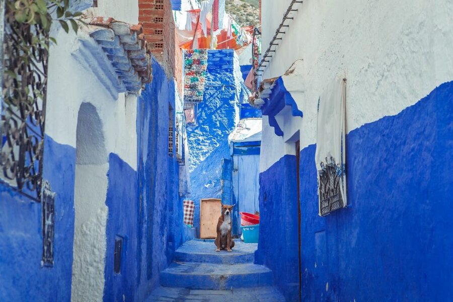 Chefchaouen Day Trip from Fez (Shared Group Tour) - Four free hours in Chefchaouen