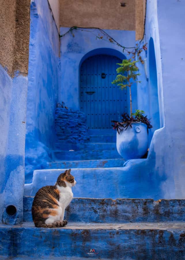 Chefchaouen tour guide - Arab-Andalusian details in the Medina