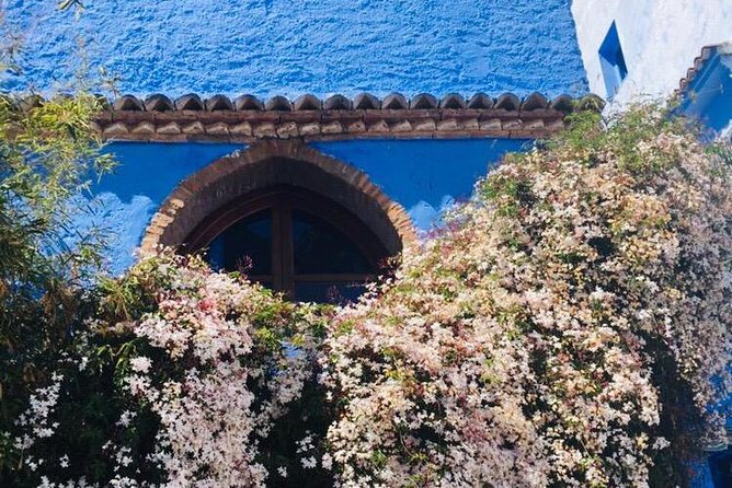 Chefchaouen Transfer to or from Fes - Private transport versus a larger group trip