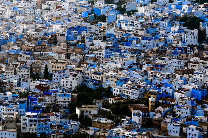Chefchaoun The Blue Pearl - Private Day Tour From Fez - The main drawbacks to weigh