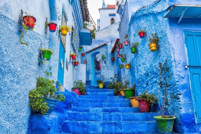Chefchaoun The Blue Pearl - Private Day Tour From Fez - Who should book this Fez day trip