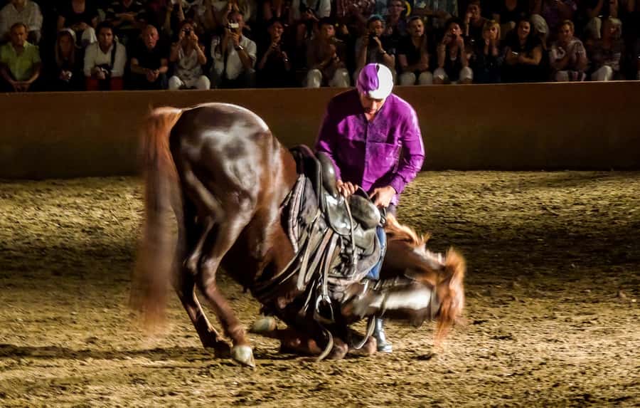 Chez Ali Dinner & Horsemen Show From Marrakech - The four-hour evening, from pickup to finale
