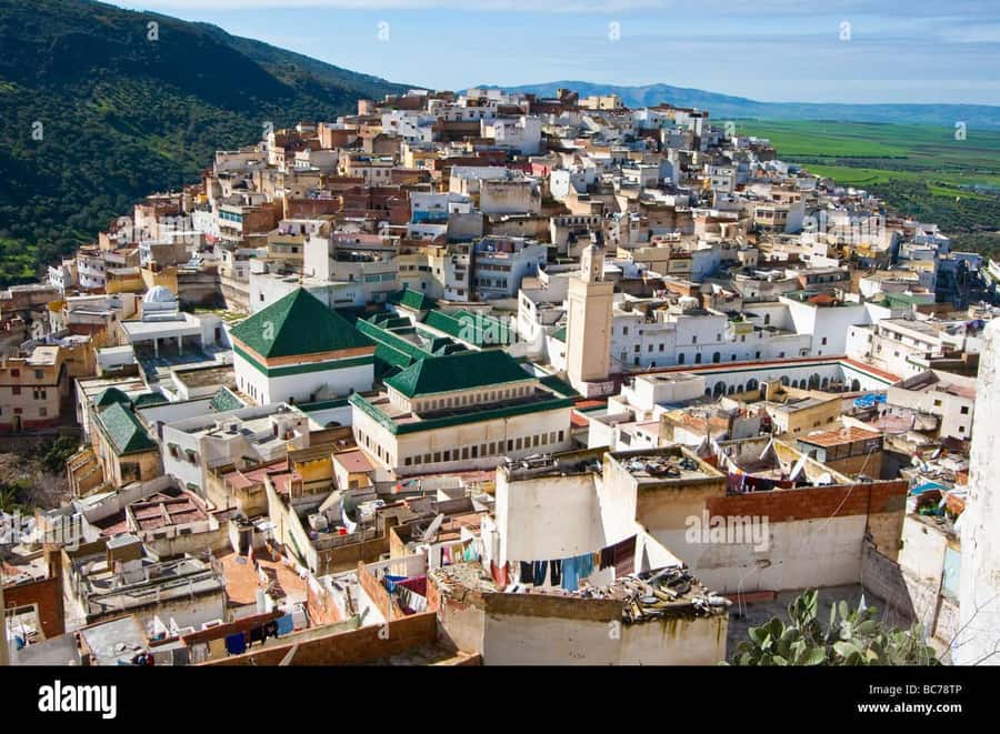 Cultural Day Trip meknes Volubilis in a Small Group OF 8 - Why this day trip works from Fez