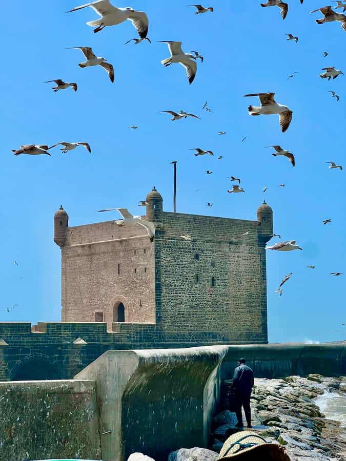 Day Excursion From Marrakech to Essaouira City - What the $19 price really covers