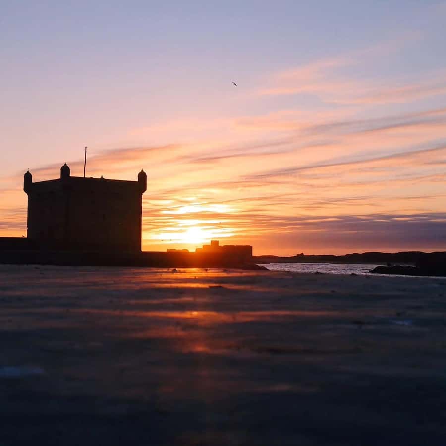 Day Excursion From Marrakech to Essaouira City - Who should book this Essaouira day trip