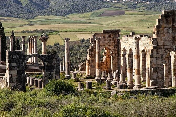 Day Tour to Volubilis & Meknes from Fes - Timing, comfort, and the small-group setup