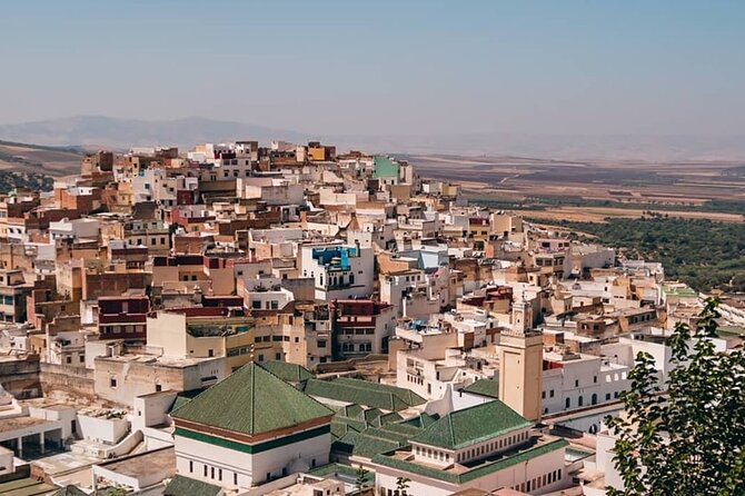 Day Tour to Volubilis & Meknes from Fes - Who will get the most from this day