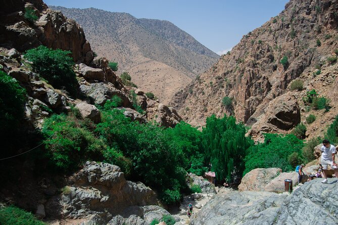 Day trip - Atlas Mountains Ourika Valley Waterfall From Marrakech - Who should book this Ourika Valley trip?
